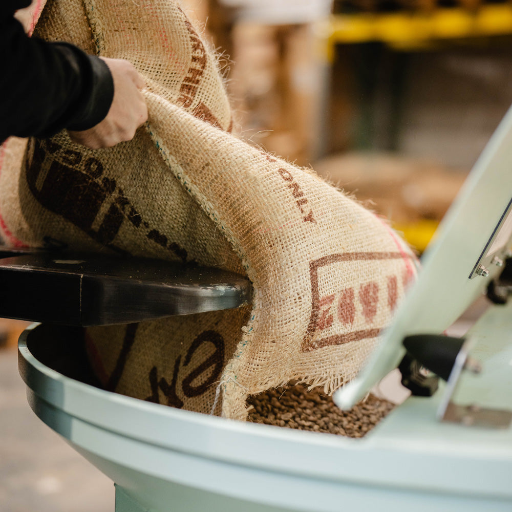 Single Origin Coffee Explained: What You Need to Know
